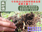 rx(chng)Ĳ շb 1/r(ji)100Ԫ/