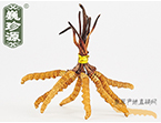 x(chng)Ĳ2.5l/ ڲ x؛r(ji)252Ԫ/