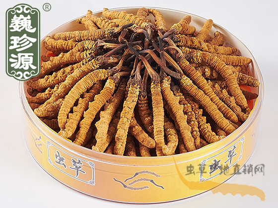 ^ڶxĲݣ2/^xxĲ