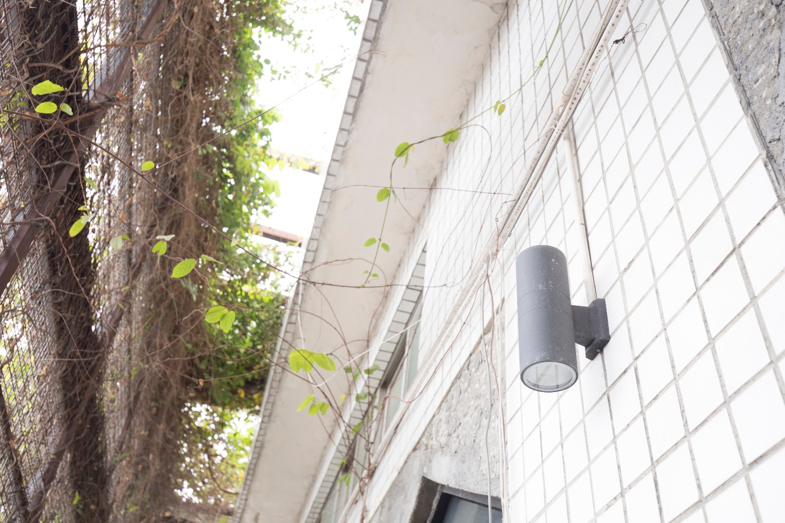 IMG_6004.jpg IMG_6004.jpg