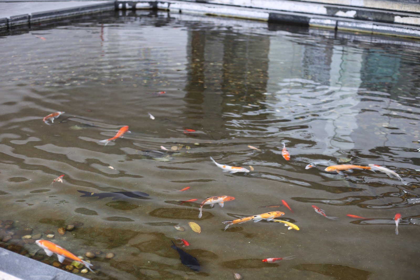 IMG_6511.jpg IMG_6511.jpg