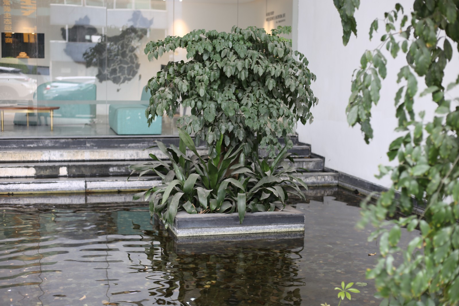 IMG_6510.jpg IMG_6510.jpg