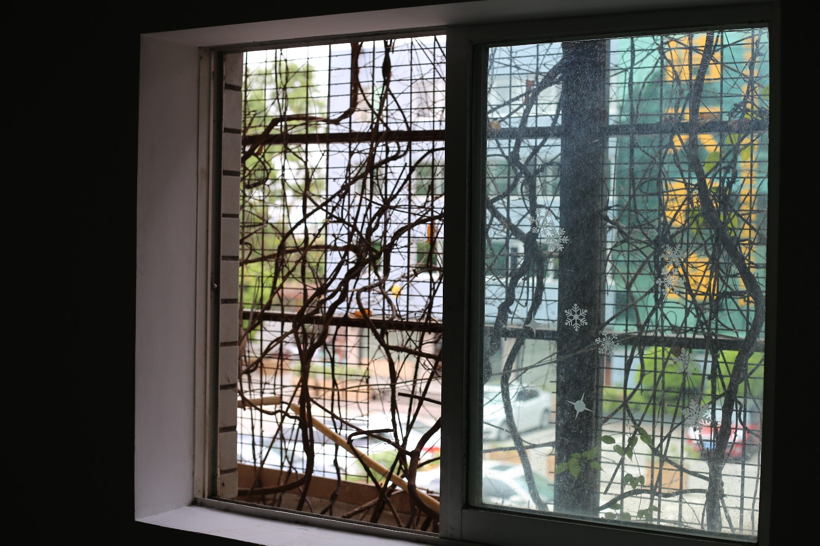 IMG_6497.jpg IMG_6497.jpg