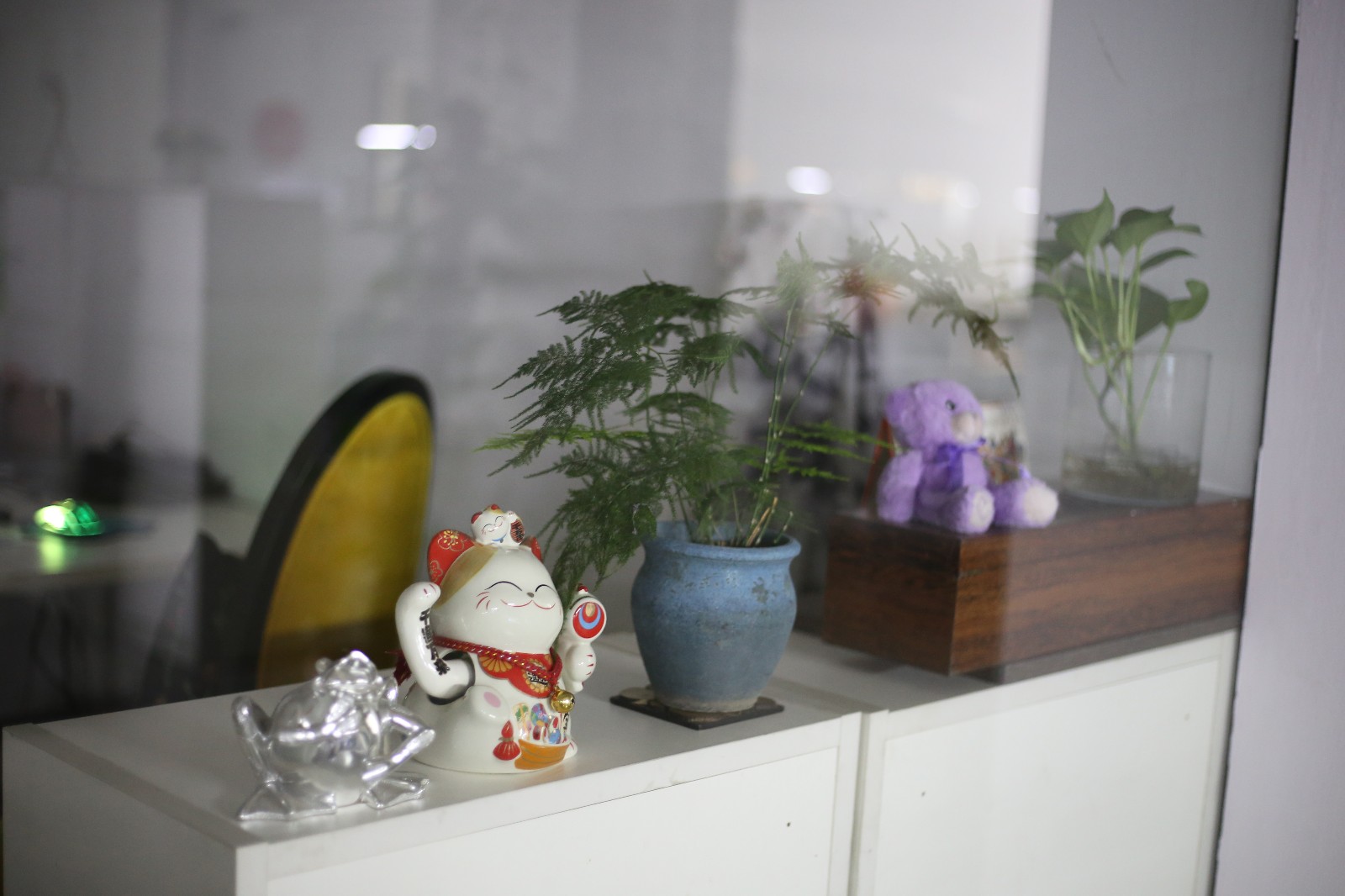 IMG_6485.jpg IMG_6485.jpg