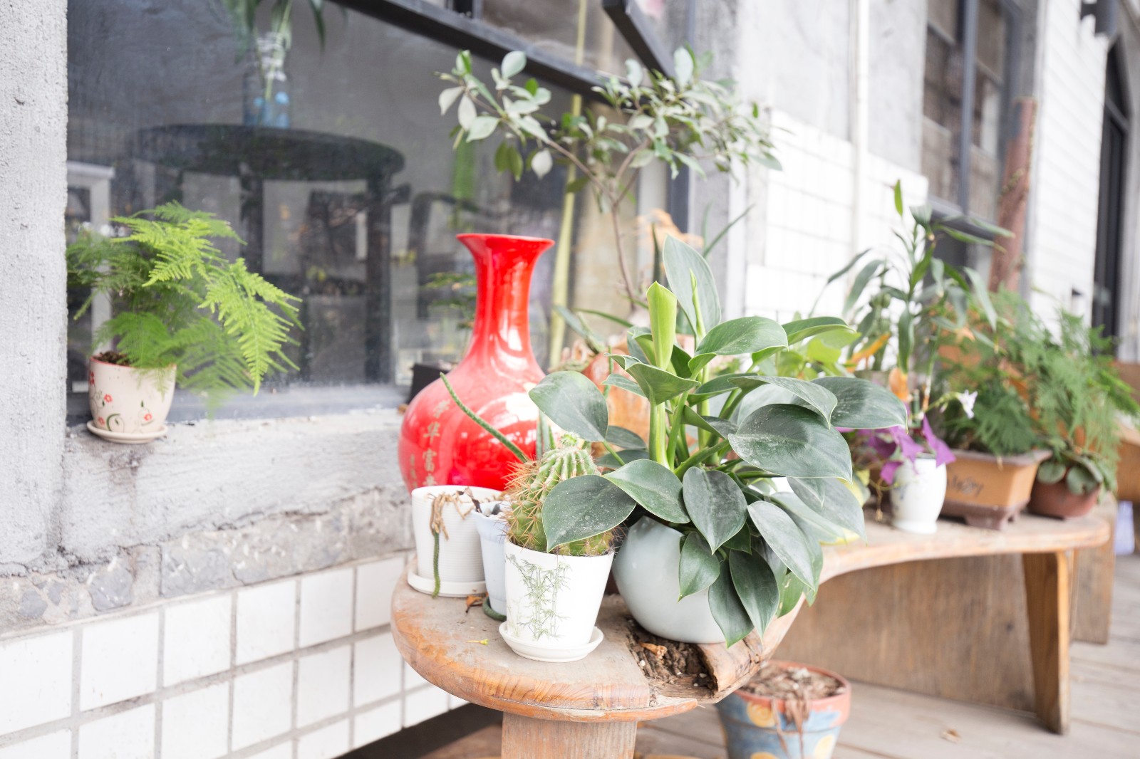 IMG_5995.jpg IMG_5995.jpg