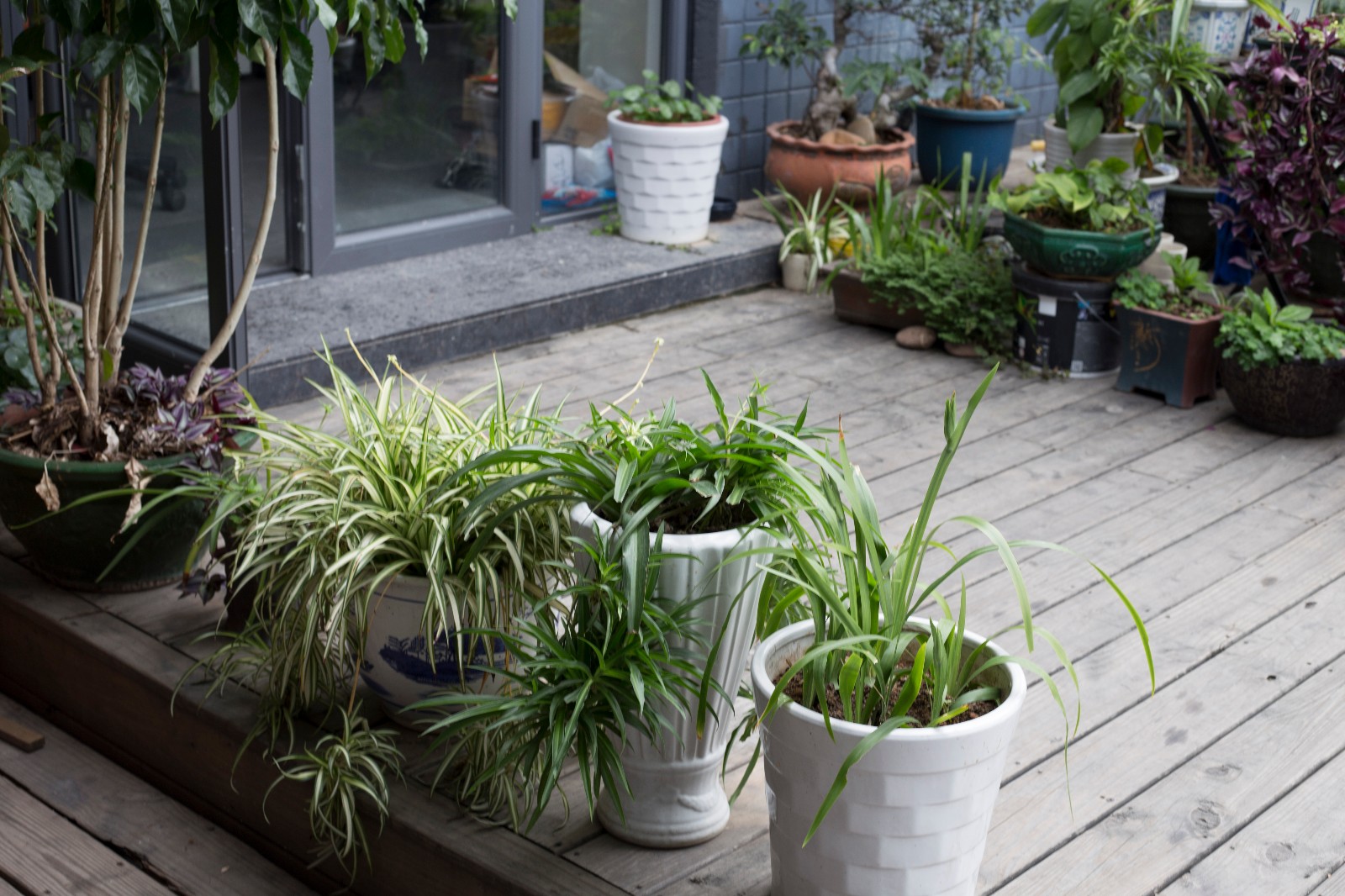 IMG_6245.jpg IMG_6245.jpg