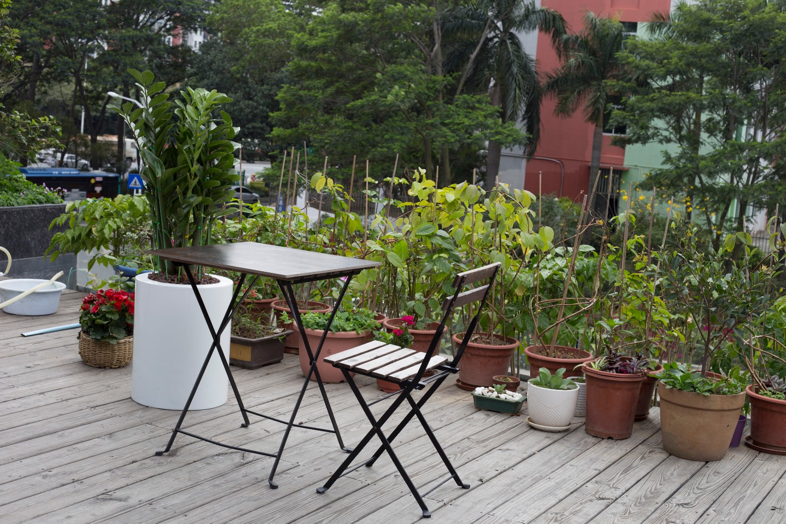 IMG_6184.jpg IMG_6184.jpg