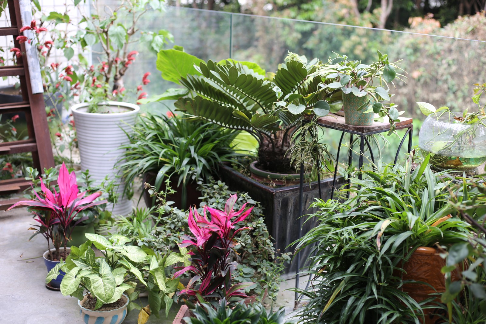 IMG_6373.jpg IMG_6373.jpg