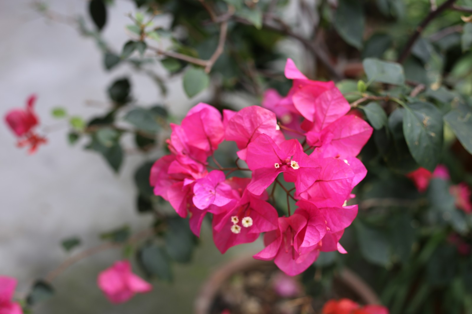 IMG_6395.jpg IMG_6395.jpg