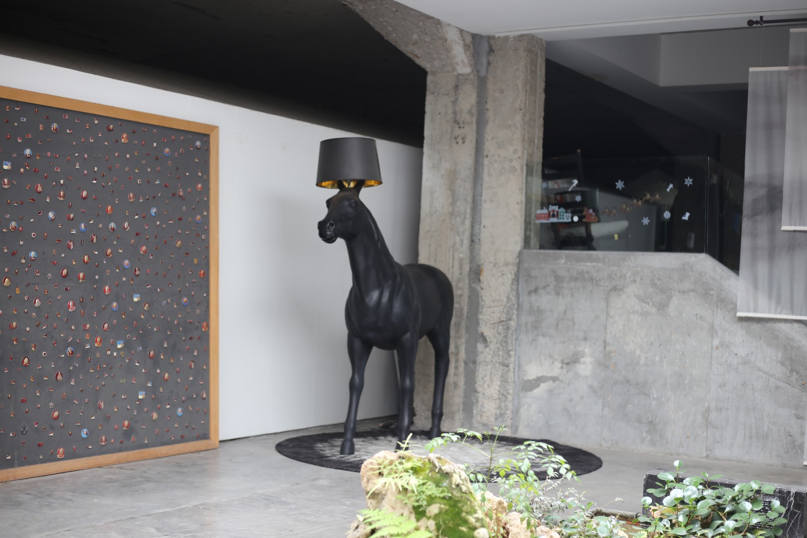 IMG_6271.jpg IMG_6271.jpg