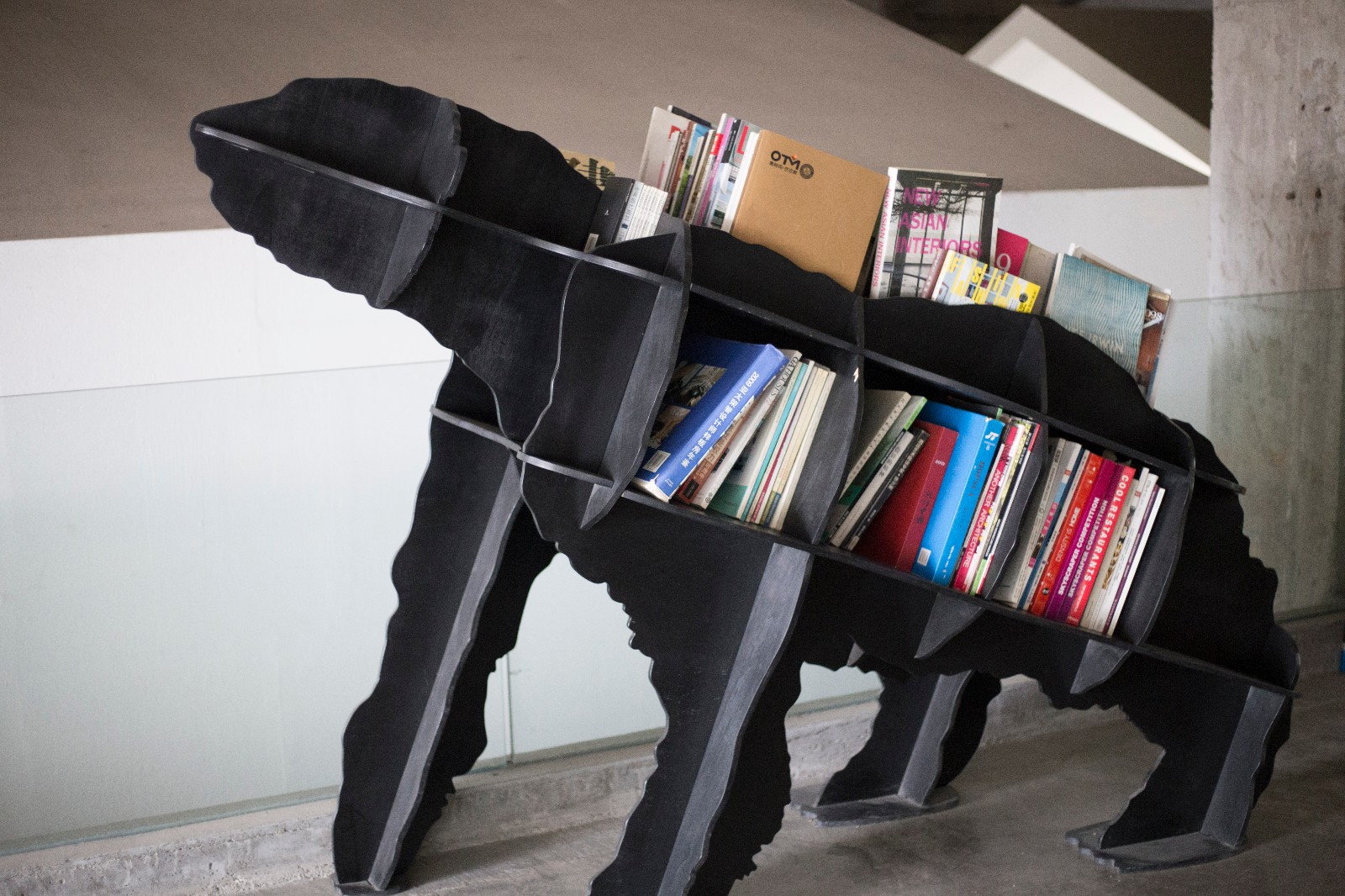 IMG_6295.jpg IMG_6295.jpg